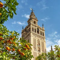 Captura de pantalla 2024-10-03 202856